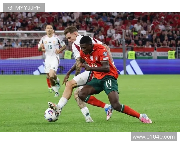 爱沙尼亚与匈牙利足球赛精彩比分揭晓双方表现分析与赛后点评