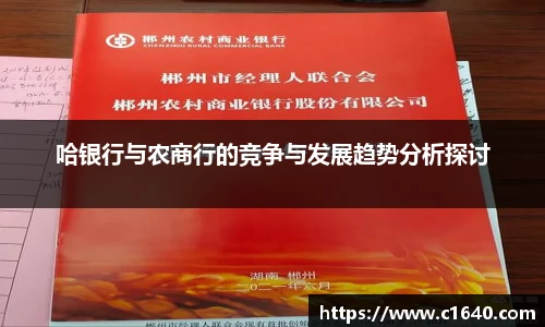 哈银行与农商行的竞争与发展趋势分析探讨